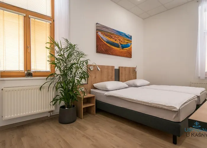 U Kasny Hostel